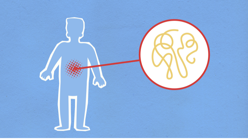 Healthy digestion and gut health concept showing how proper digestion improves energy, mood, and overall wellness naturally