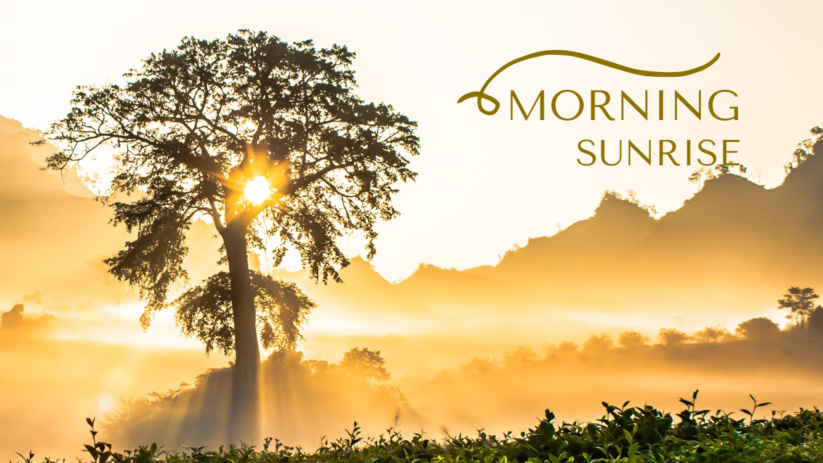morning sunrise
