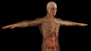 mosoon health tips