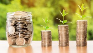 Long-term strategies to protect your money and grow wealth, expert tips on how to beat inflation and secure a financial future.